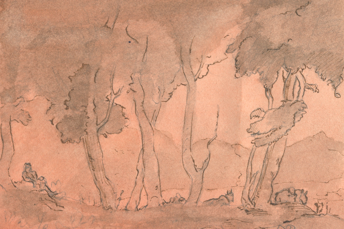 steve duncan art landscape penandink2